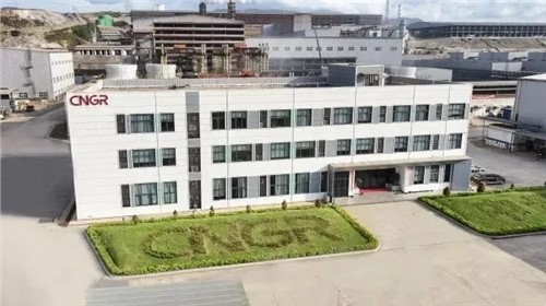 CA88官方网站股份中青与德国项目通过RMI ESG审核