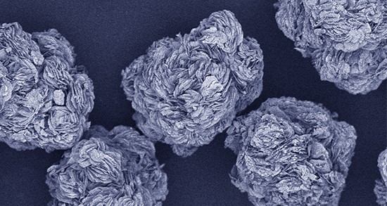 钠电先驱体